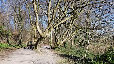 Natur