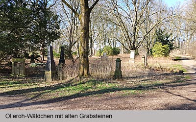 Olleroh-Wald