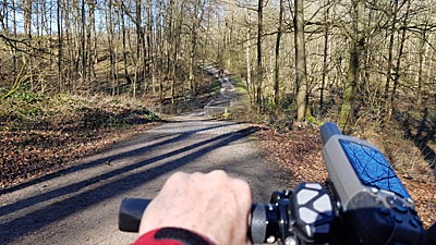 Dellwiger Wald