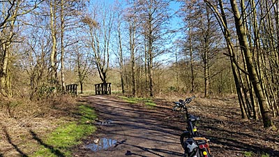 Wald