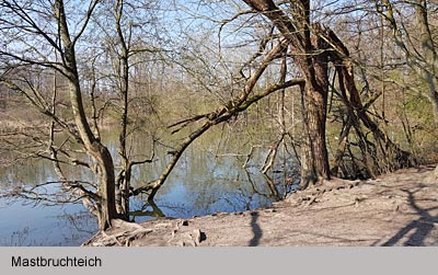 Mastbruchteich