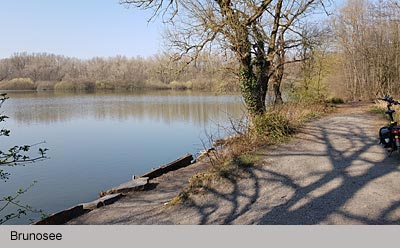 Brunosee