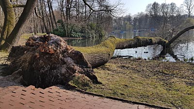 Fredenbaumpark