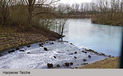 Harpener Teiche