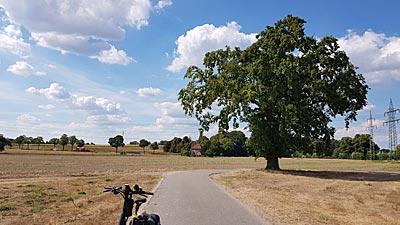 Landschaft