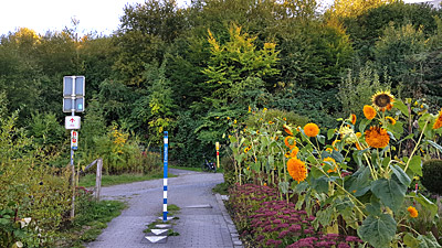 Landschaft