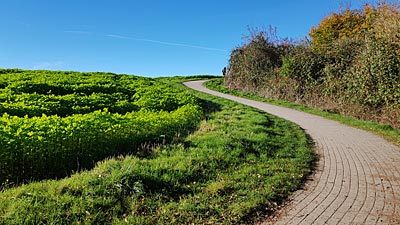 Landschaft