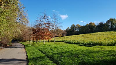 Landschaft