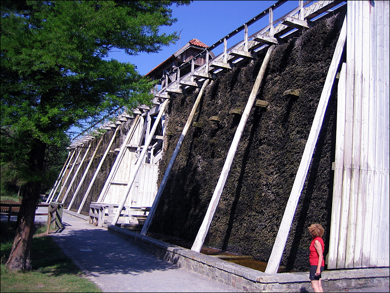 Salzkotten