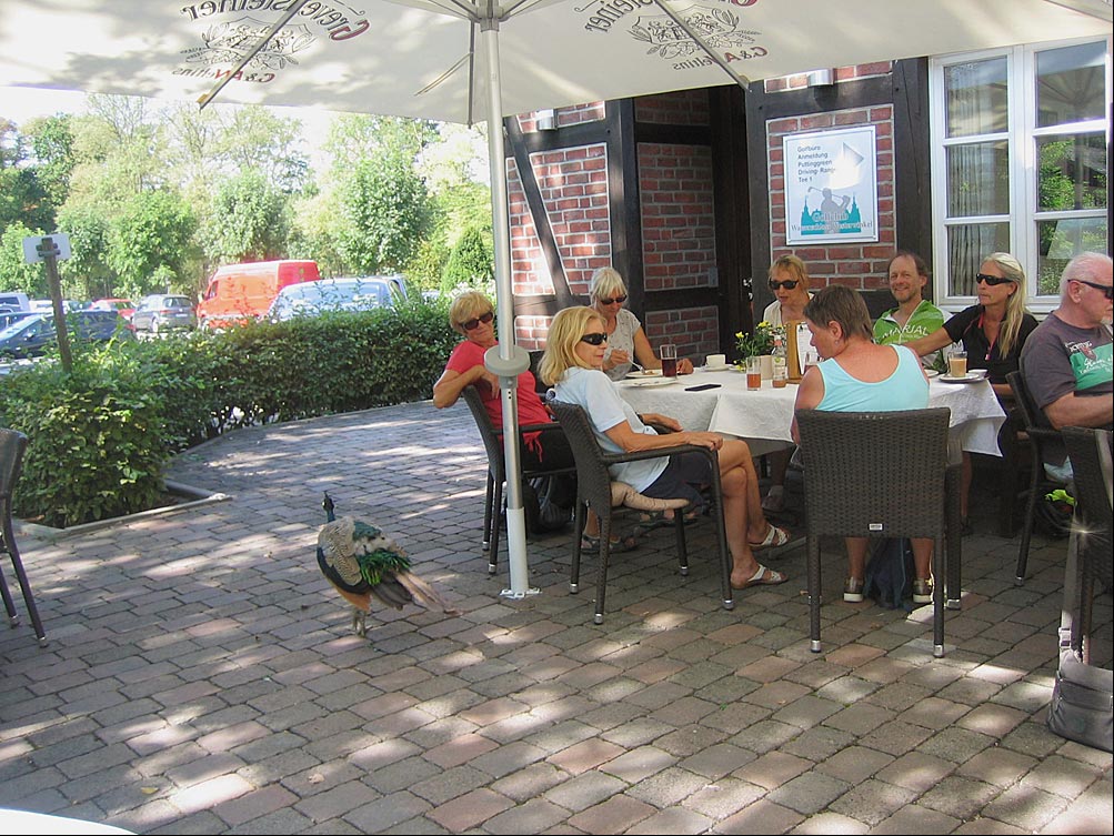 Caf&eacute; Zum letzten Tee